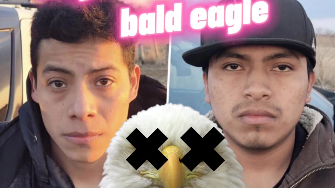 Illegal Migrants Kill Bald Eagle