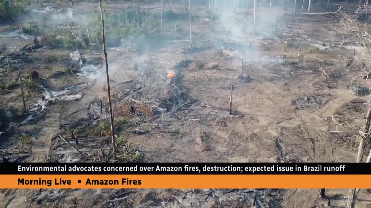 Burning Amazon expected to be issue in Brazil's run-off election