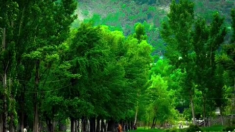 Beautiful Gilgit