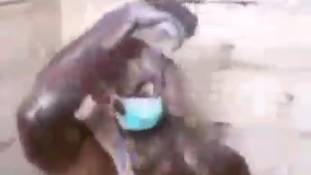 O CUMULO DO ABSURDO