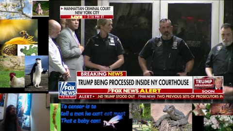 Watching Fox News Coverage of Arraignment Day 4/4/2023