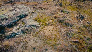 Cinematic Drone View