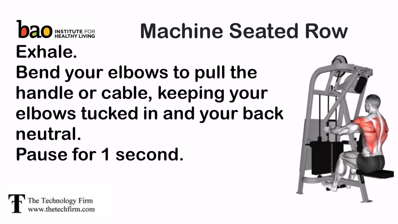 Machine Seated Row