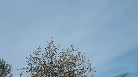 Himmel in Berlin am 04.05.2023 um 13:44 Uhr