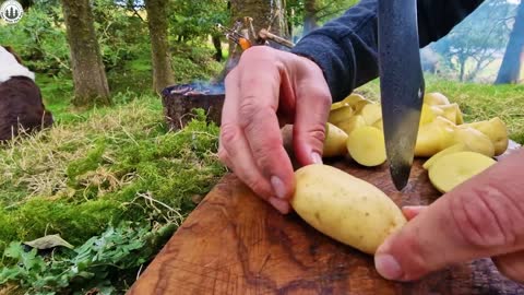 Best option for Camping ASMR Campfire Cooking