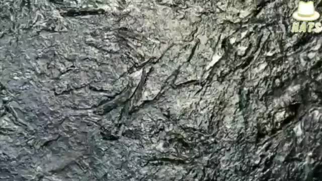 5G 환경의 파괴된 얼음 결정