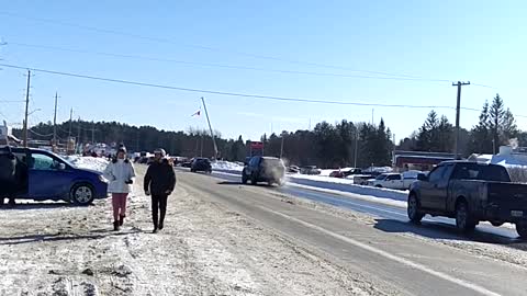 Black sheep show Canadian truckers freedom convoy