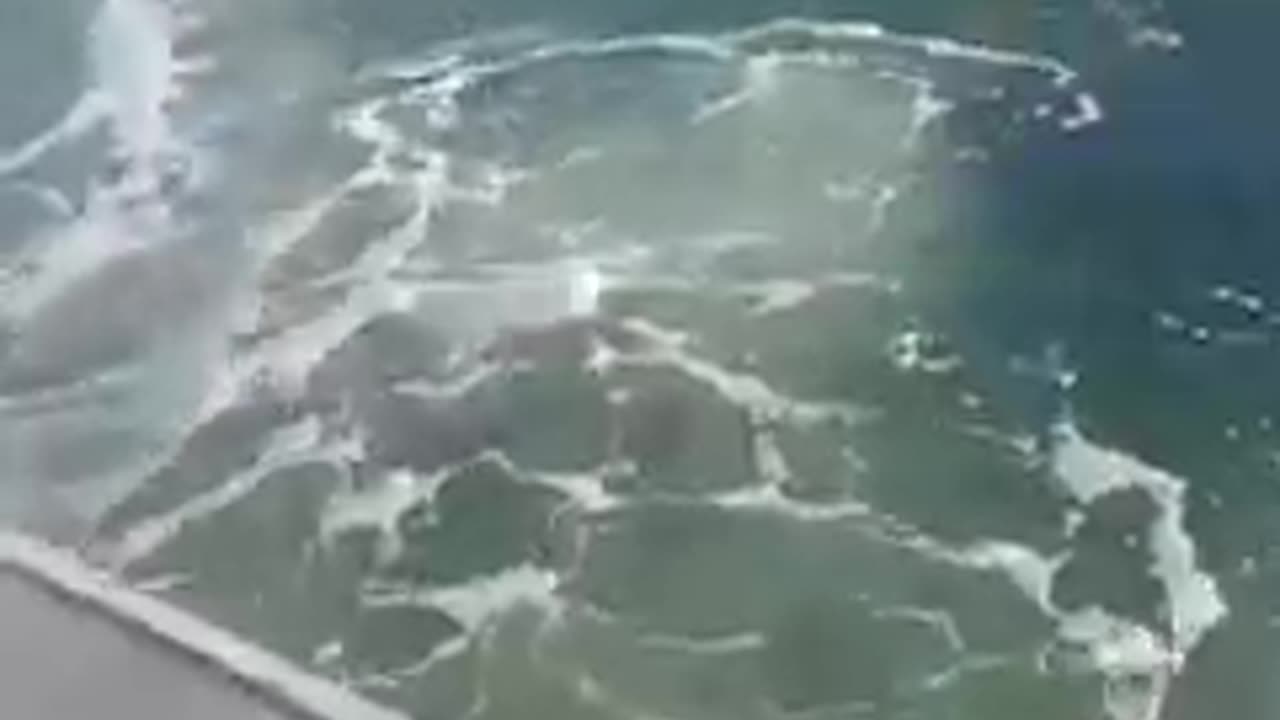 A giant humpback whale jumped over a small boat off the coast of New Jersey City, USA.