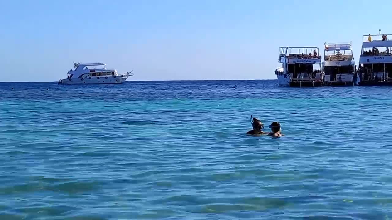 Super beautiful underwater world of the Red Sea.