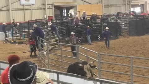 Bull Breaks Loose Into Crowd at Rodeo