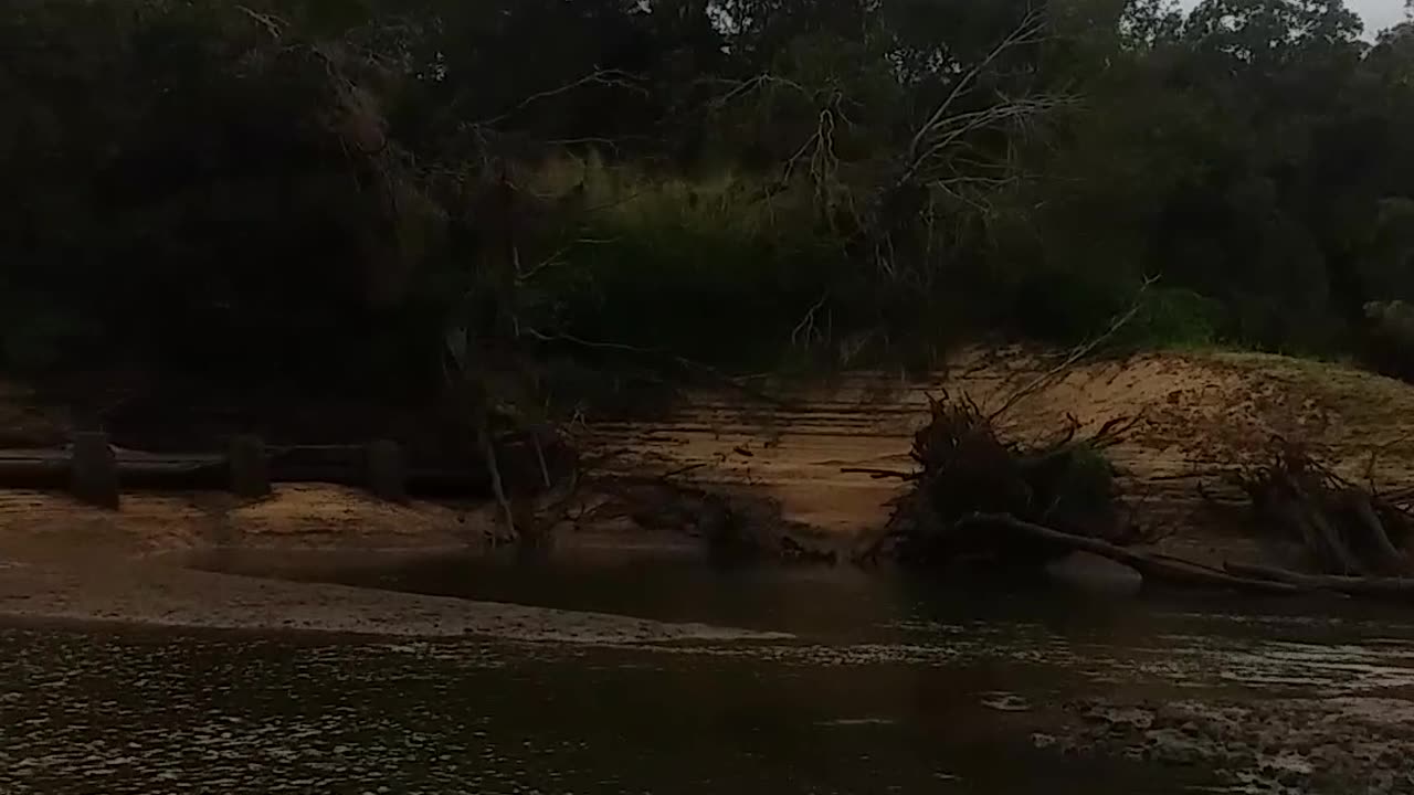 30.6.2024 The Barron River Kuranda