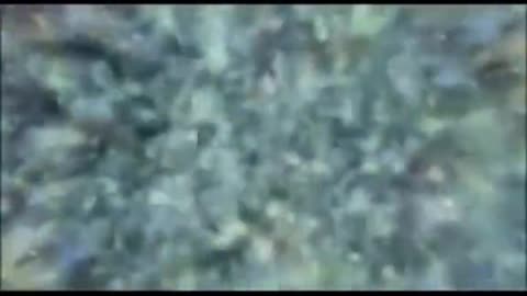 Sonoluminescence : How stars are created in the waters above the firmament.