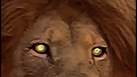 The lion is yawning and you can see its mouth clearly