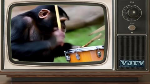 CHIMPANZEE PLAYING DRUMS