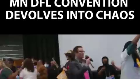 Just a Normal Day in the Minnesota Democrat Convention...