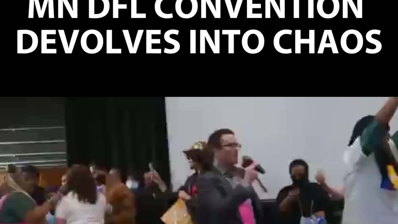 Just a Normal Day in the Minnesota Democrat Convention...