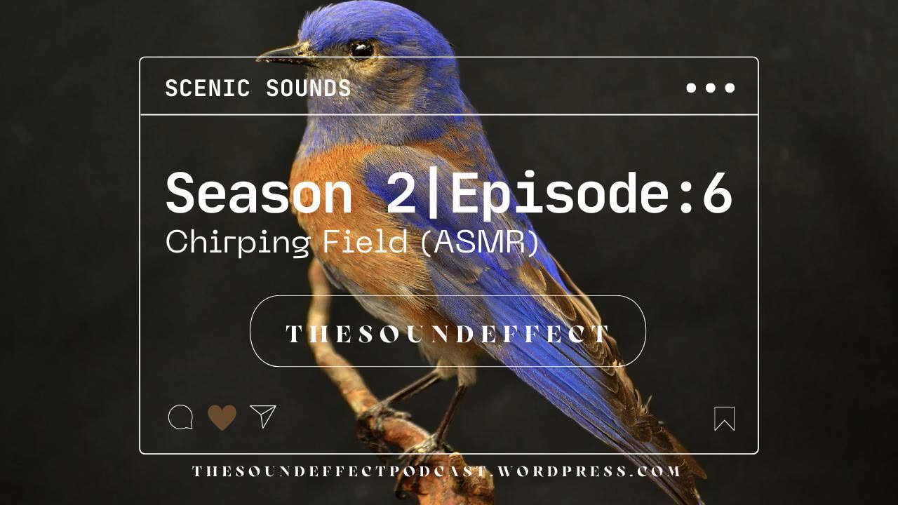 Scenic Sounds | Season 2: Episode: 6 | Chirping Field (ASMR)