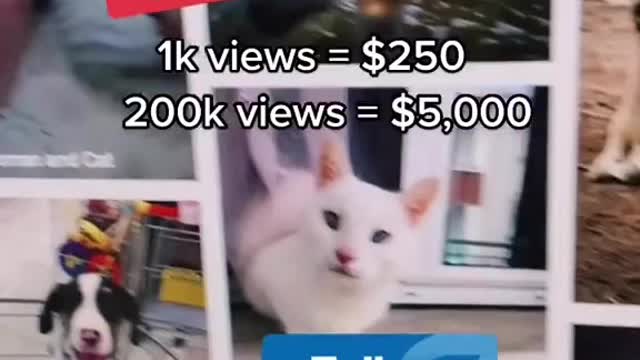 Make $5000 with 1 photo