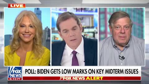 Kellyanne Conway: Biden is playing an inside game