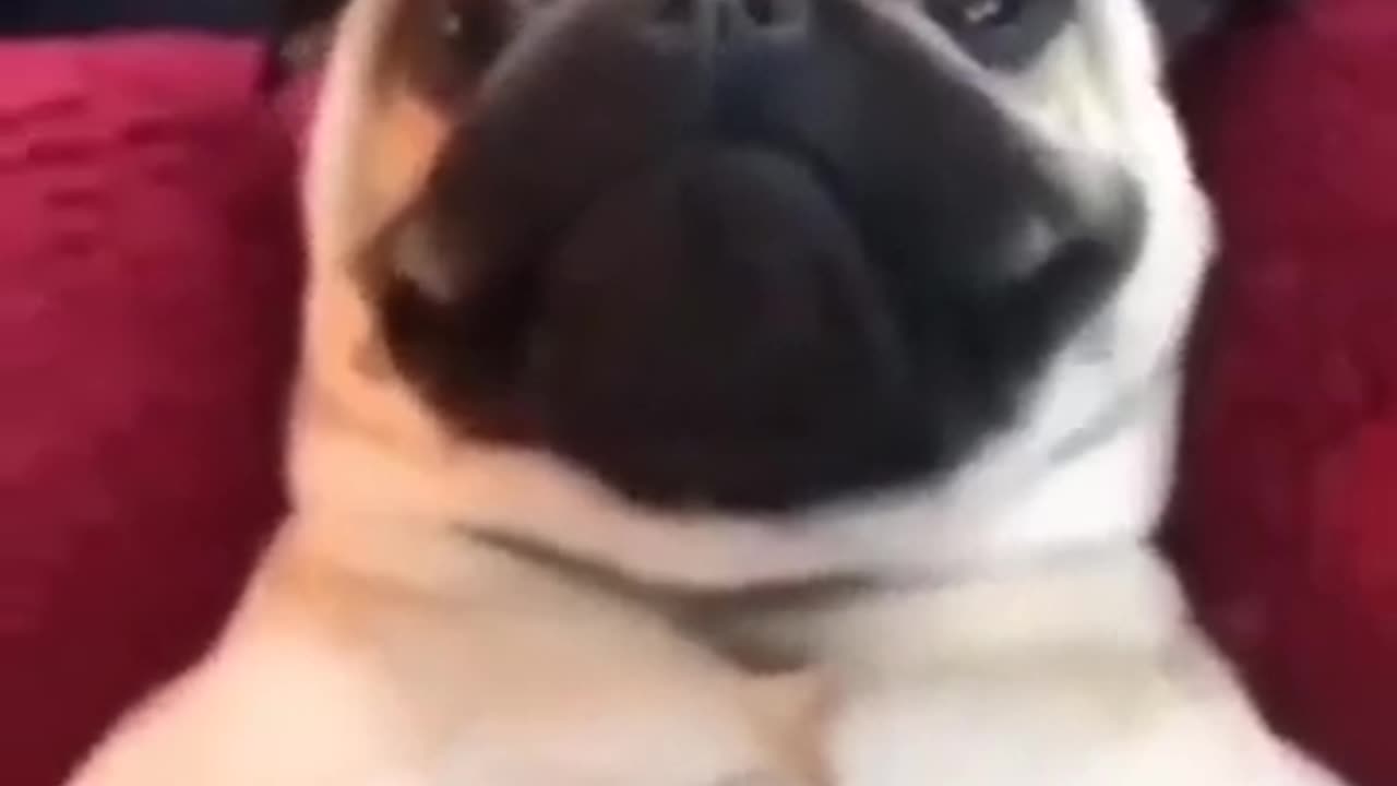 Waking Up To An Important Message #shorts #viral #shortsvideo #video