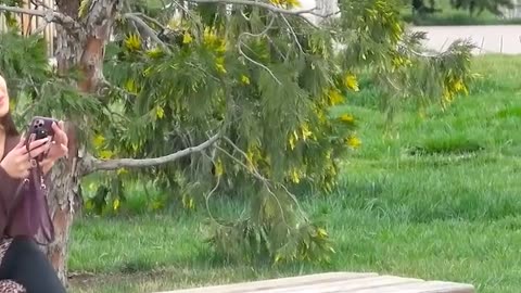 Comedy video ptank 😉