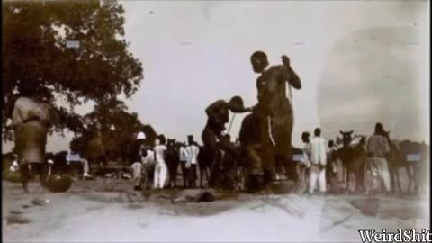 THIS 1897 PHOTOGRAPH | GIANT WOMAN ON THE ROAD TO ROARSA