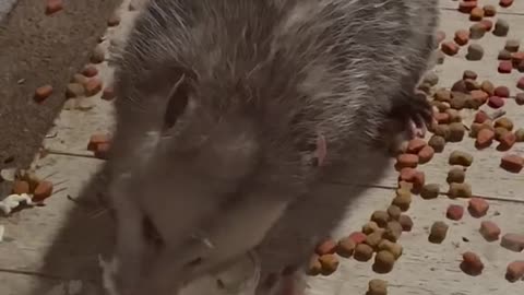 Yum!