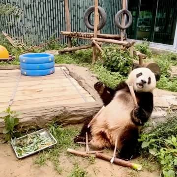 Super happy to eat ~ eat more and eat more ~