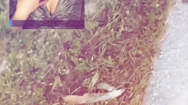 DICK PIC LOGIC : Diaries of Rizzle's New Age - part 8