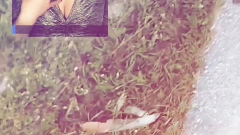 DICK PIC LOGIC : Diaries of Rizzle's New Age - part 8