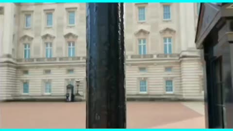 BUCKINGHAM EMPTY — ALL PEDO REPTOS REMOVED