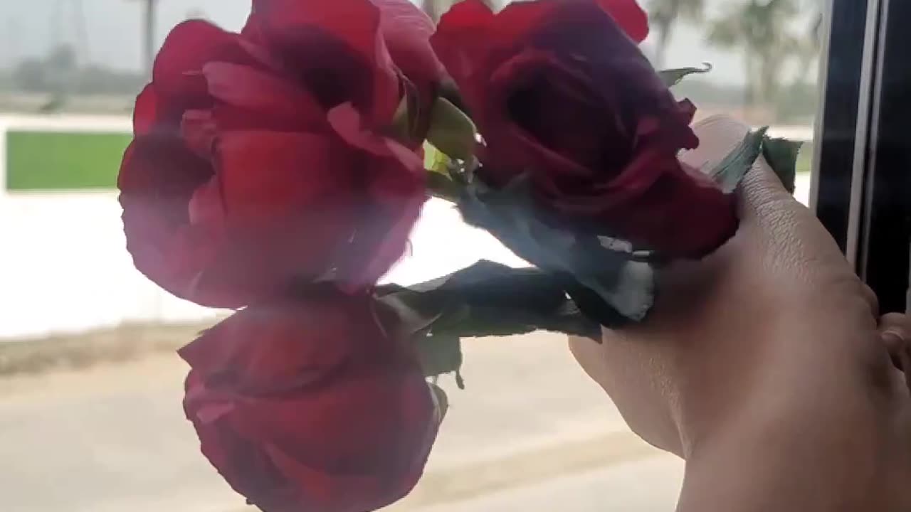 তোমার জীবনে ঐ মানুষটার আগমন হোক!যে স্রষ্টার কাছে প্রার্থনা করে তোমাকে পেতে চায়! নিশা