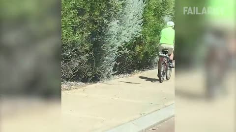 Dangerous and scary nature encounter