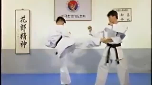 Hapkido