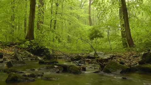 Meditation soft music, deep sound and relax