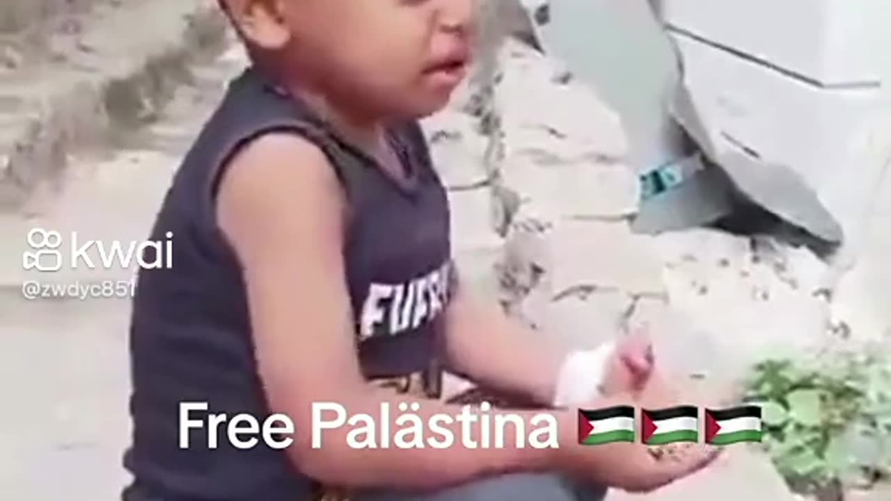 Free Palestine 🙏😔😭