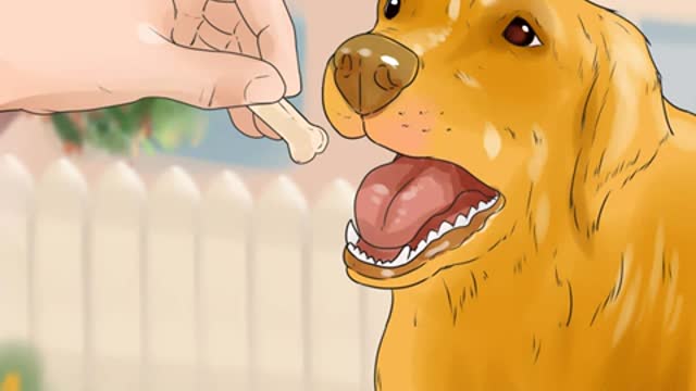 how to stop golden retriever from barking