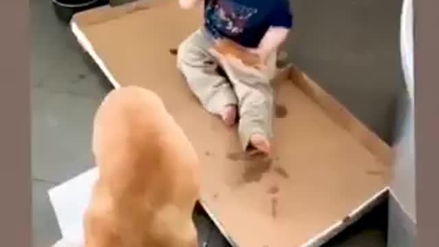 Cute baby play with dog 🐕