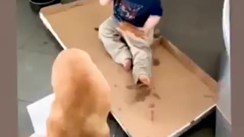 Cute baby play with dog 🐕