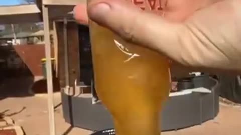 tiktok shorts