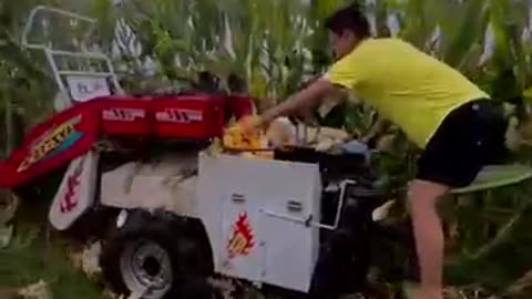 Corn Harvester Small Corn Harvester Mountain