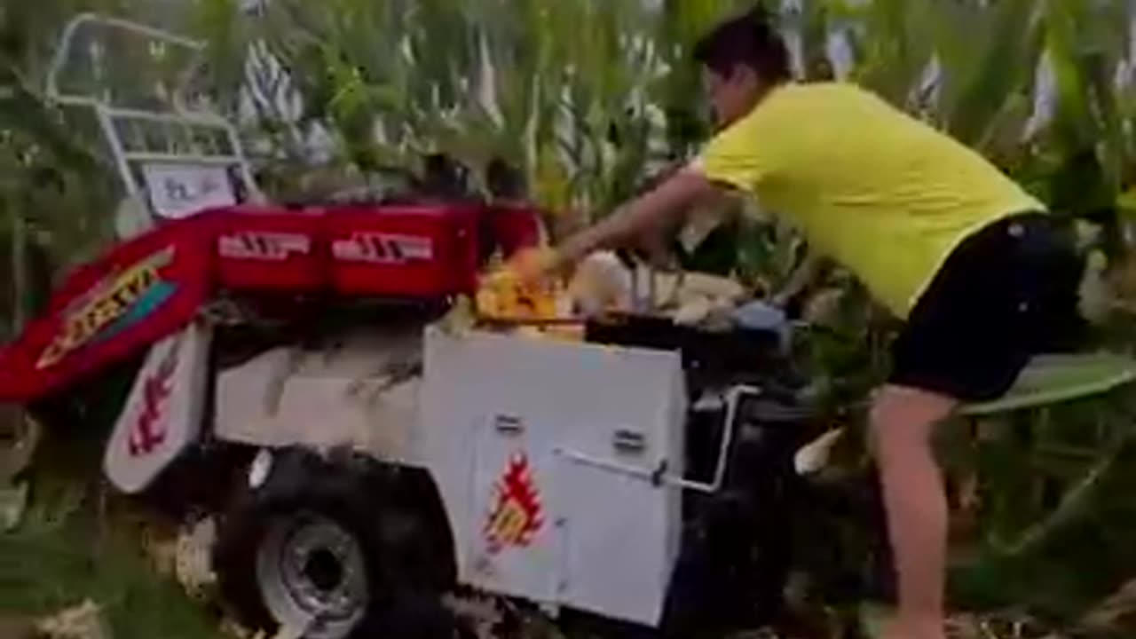 Corn Harvester Small Corn Harvester Mountain