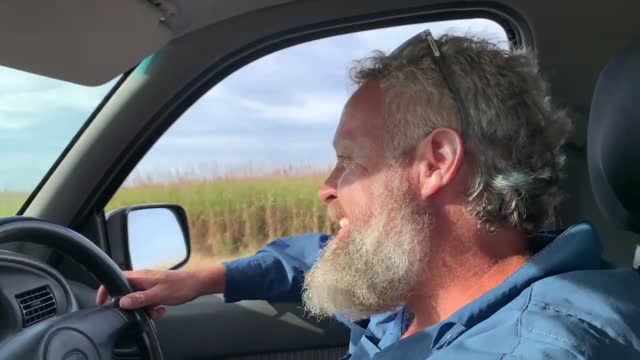 Driving Home Through Canefields. This is Australia