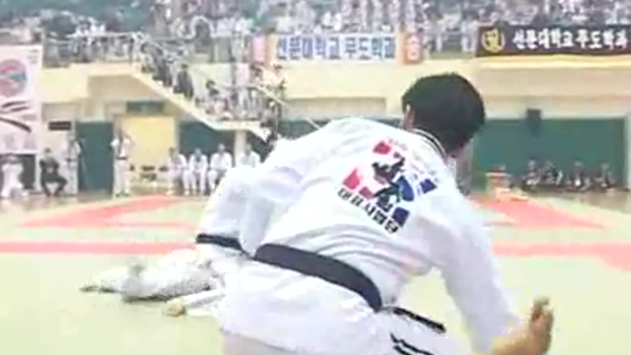 Hapkido