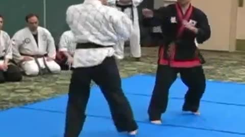 Hanminjok Hapkido