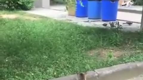 Friendship With You And Quarrel With You #shorts #viral #shortsvideo #video