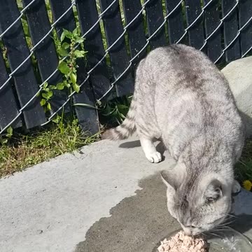 20240417 155821 Birthday Eating... Eh, Not Right Now...