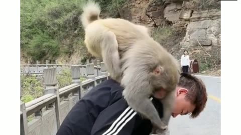 Feeding the monkey🤣