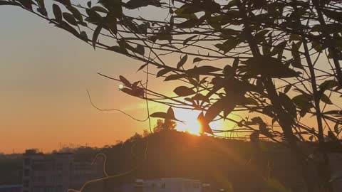 The last sunset was ordinary as usual