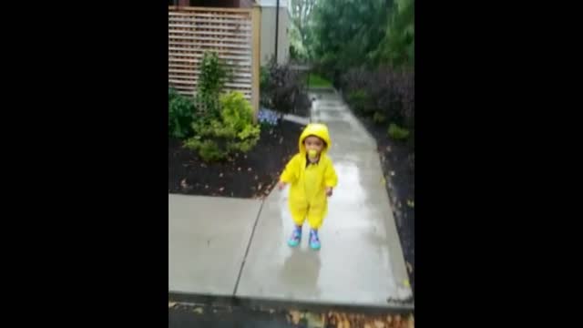 Toddler has second thoughts about jumping in puddle